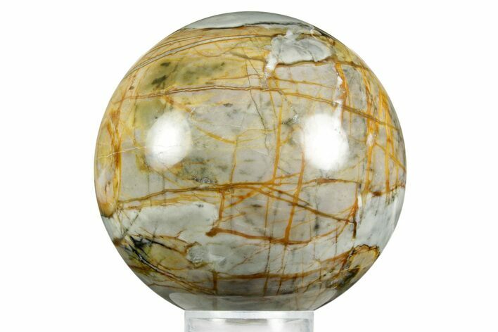 Polished Picasso Marble Sphere - Utah #371146